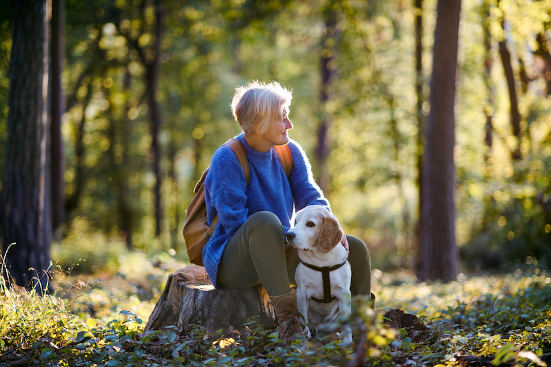 5 Important Reasons to Spend Time With Your Pet.